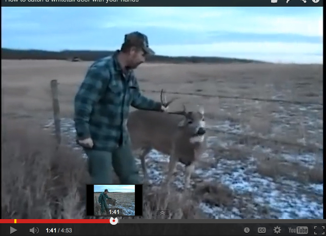 Man Catches Huge Buck with Bare Hands
