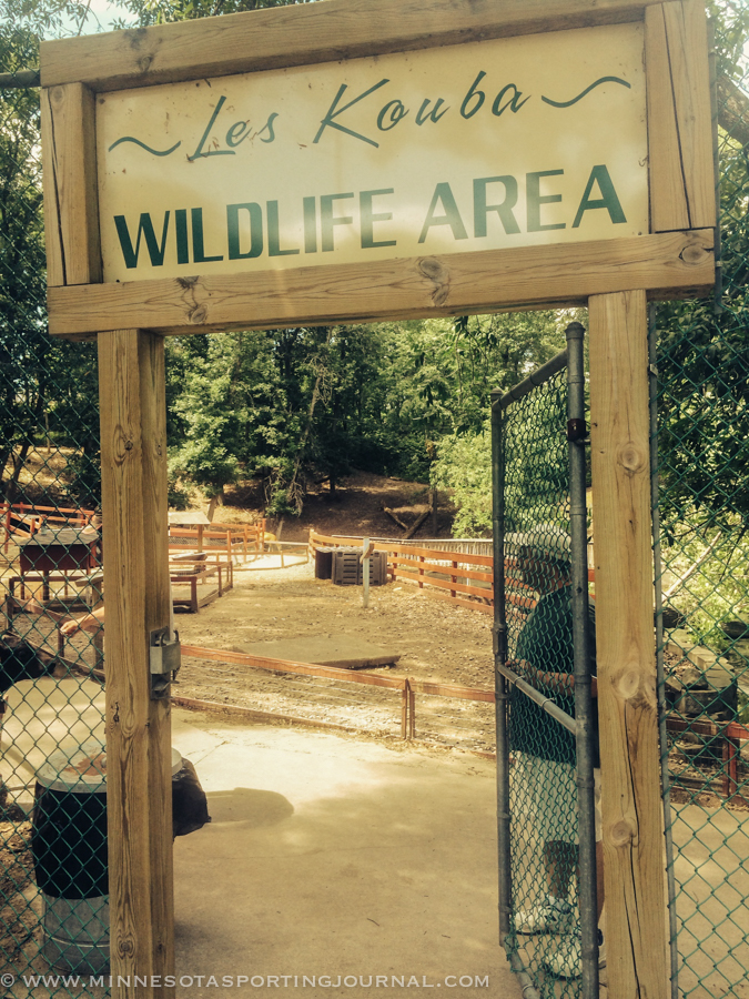 MNSJ RADIO PODCAST:  Steve Pennaz, Mandy Uhrich, Bob Slaybaugh (Camp Confidence) and Terry Strege (Four Points Retriever Club)