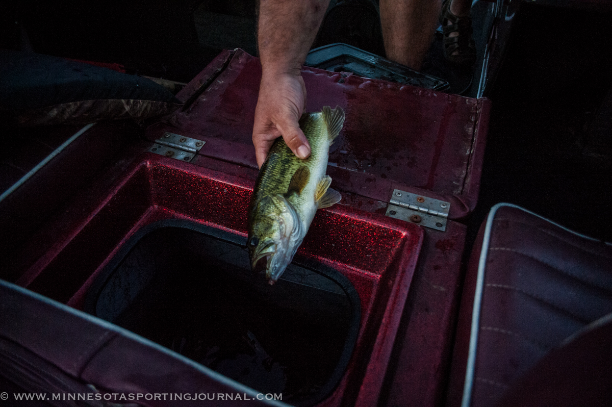 WHOOSH:  New Fish Transport Tube!  YOU HAVE TO WATCH THIS!