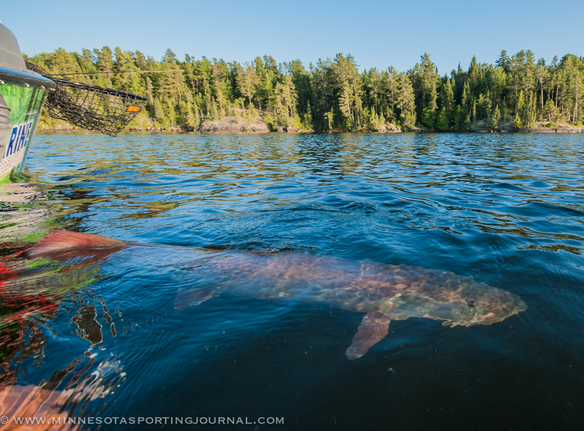 MNSJ RADIO: RIVER MONSTERS COMES TO THE AREA!