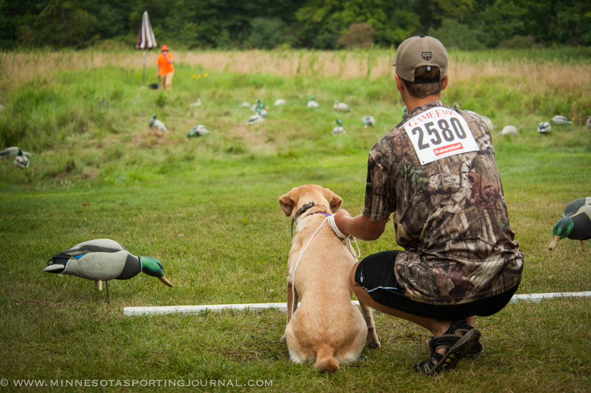 GAME FAIR 2014 – DAY 1 PICTURES