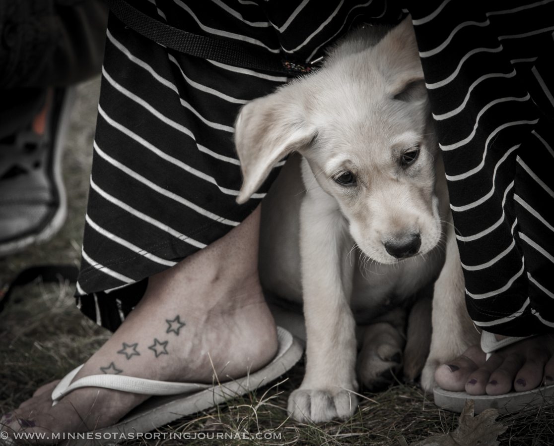 GAME FAIR: DAY 2 Pictures