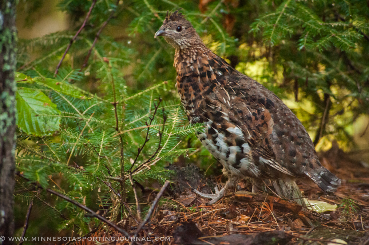 Ben Jones, CEO of RGS, new border water regs for MN/SD and More.