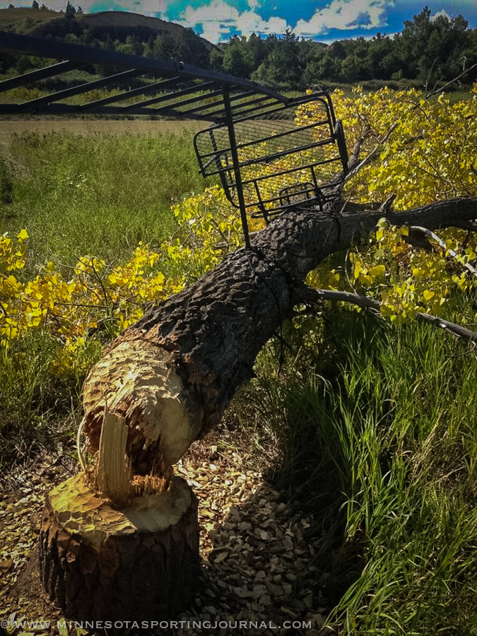 MNSJ RADIO:  Bow hunting prep, MT3 Championship and Eagle Lake fishing.