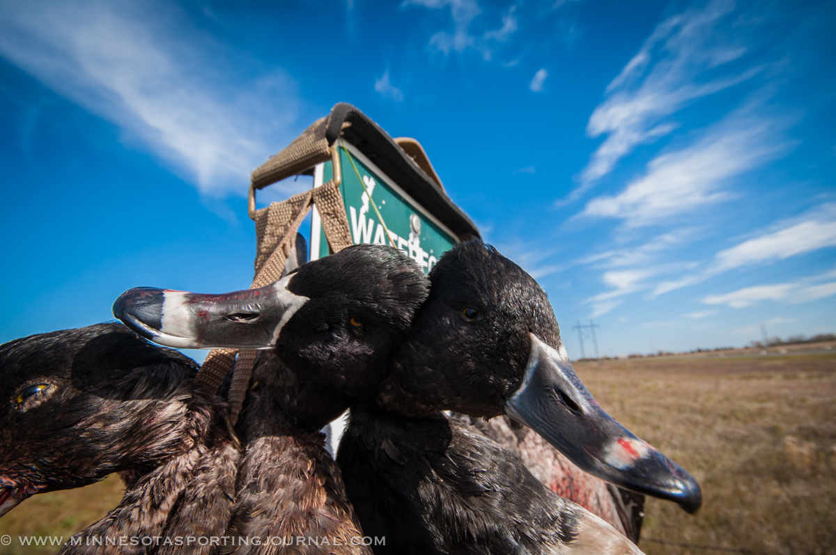 Treating the Family Like VIP’S