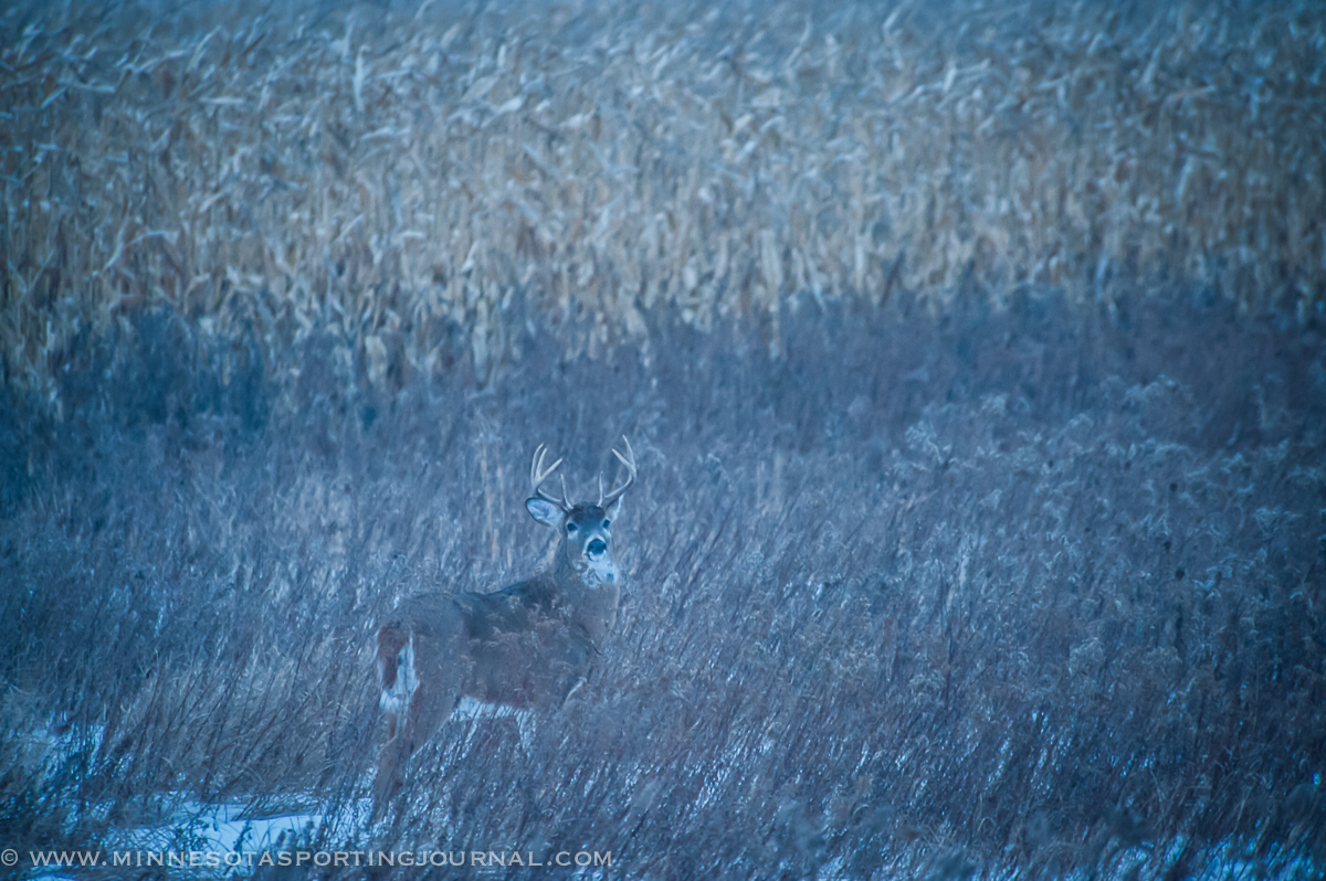 CWD TEST RESULTS FROM SE MINNESOTA ARE IN