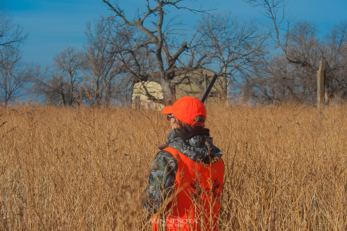 North Dakota Pheasant Harvest Numbers Down in 2021