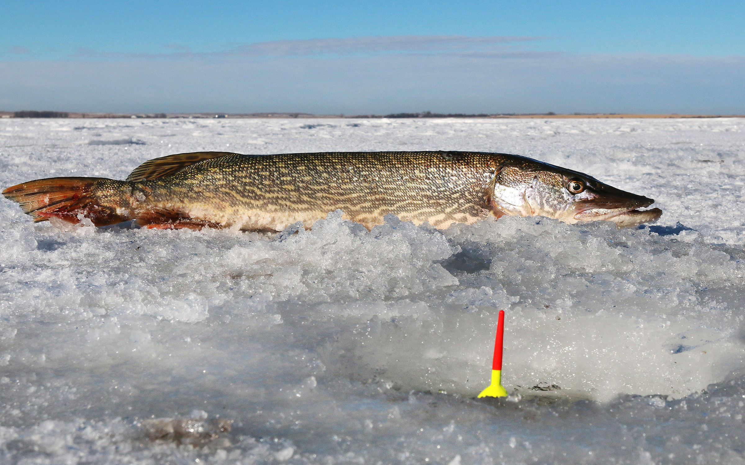 THINGS YOU NEED TO KNOW: If you plan on ice fishing in North Dakota