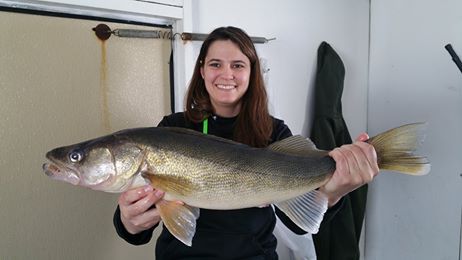 Lake of the Woods Fishing Report