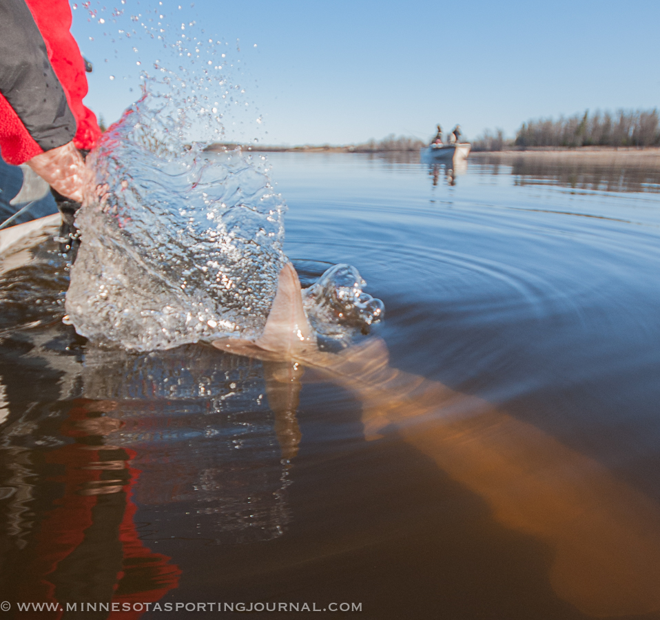 Lake of the Woods Fishing Report