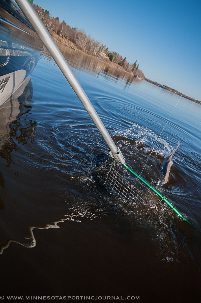 Weekly Game and Fish Violations