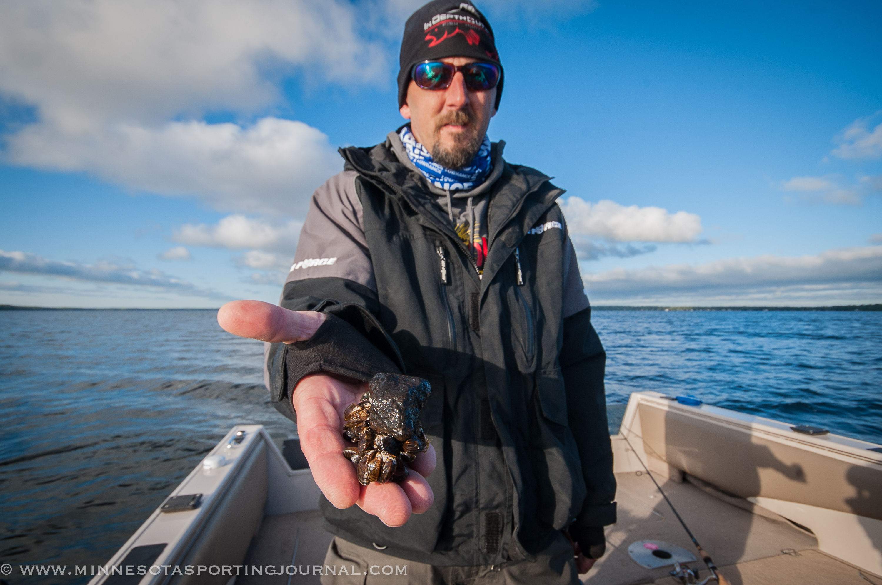 Zebra mussels confirmed in Henderson Lake in Kandiyohi County