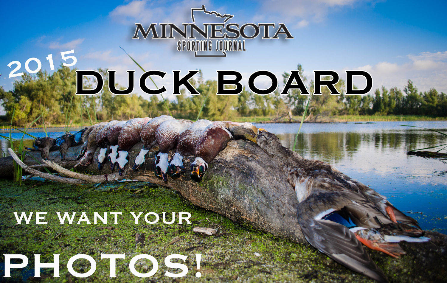 2015 MNSJ DUCK BOARD!