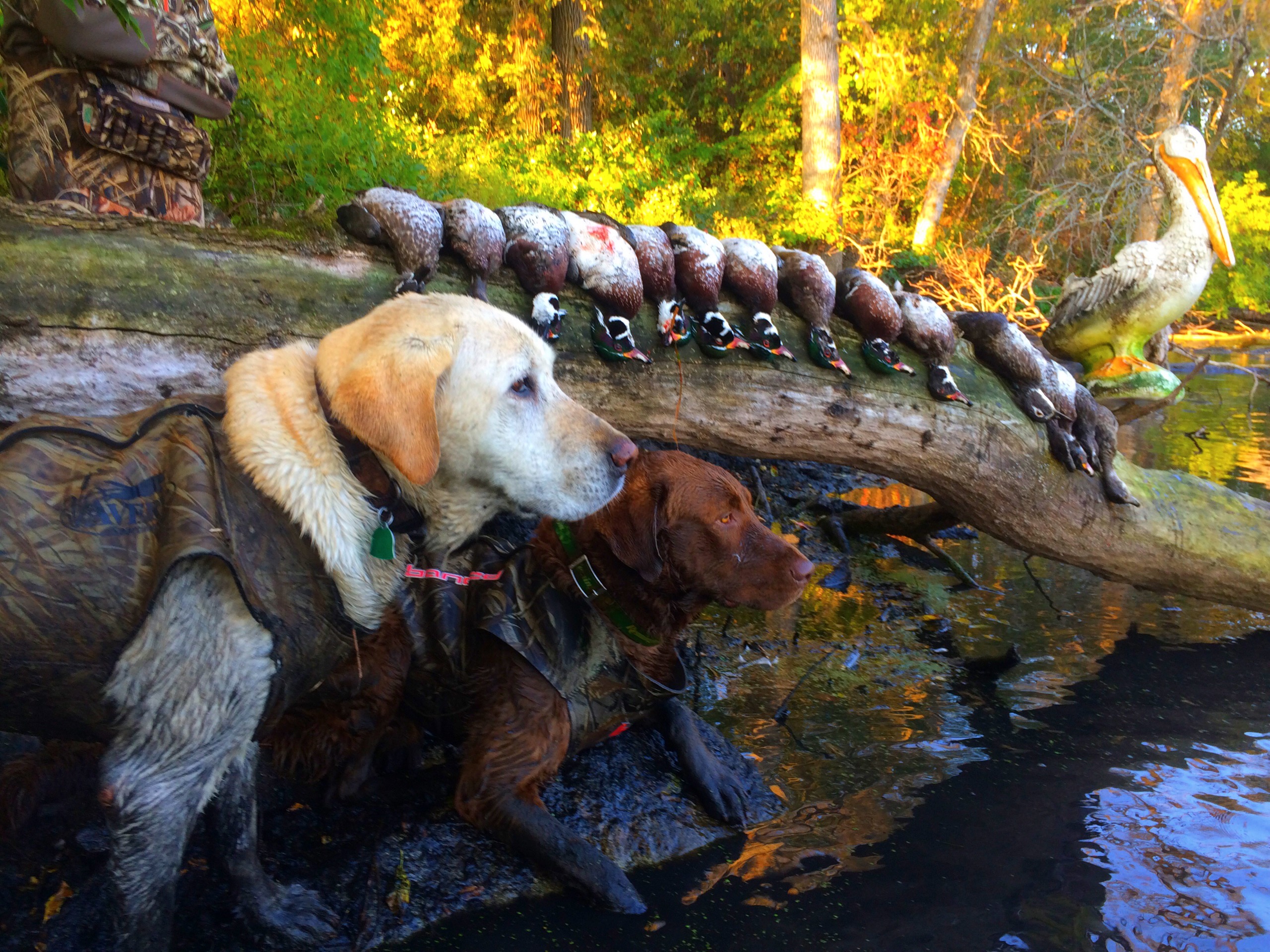 MNSJ RADIO: On This Week’s Show – Congressman Collin Peterson….