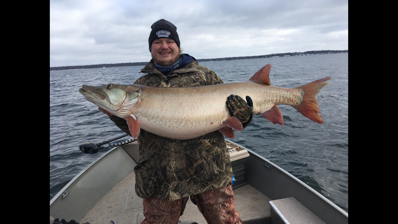 SJRadio:  Listen Now – 60lb Mille Lacs Muskie? Lyon County Pheasants and Montana rutting deer.