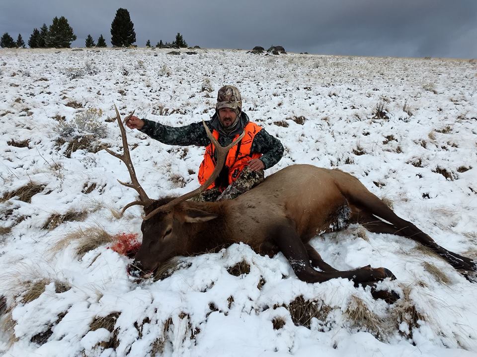 Show #327: Walleyes, Wolves, Elk, Mountain Lions and SnoBears