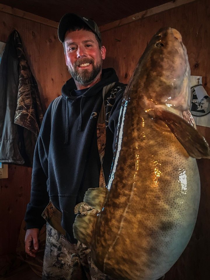 Show #328: Minnesota Mountain Lion Myths Busted, Plus LOW and DL Conditions