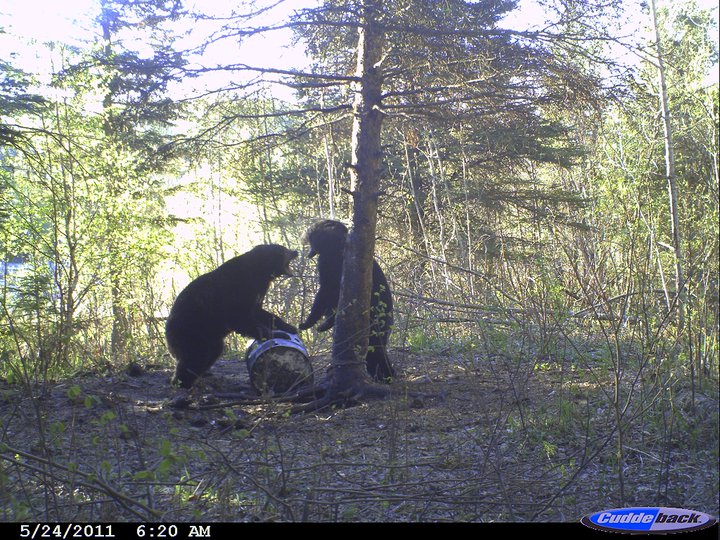 Saskatchewan Hunting and Fishing and an MTT report from Lake of the of the Woods.