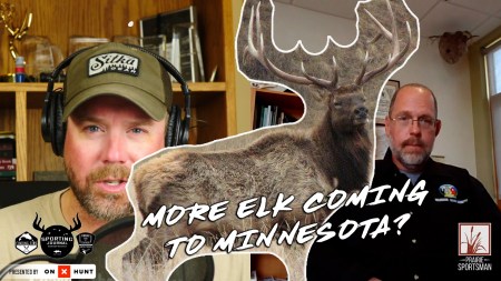 Show #461: More Elk Coming to Minnesota?