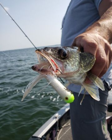 Finding Fins Show #27: Weird Walleye Techniques and a Lake of the Woods Report