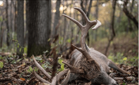Finding Fur and Feathers Show #29: All Things Deer Hunting with Sam Soholt and Tyler Scott