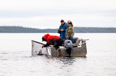 SJR | Week 515: Filming a Fishing TV Show