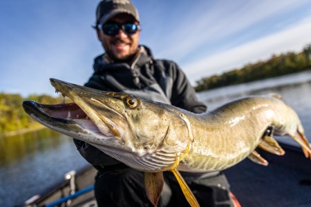 Finding Fins Show #49: We Caught a Musky Mid-Podcast…