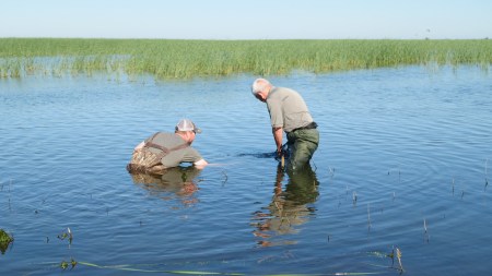 New MN DNR Tool Provides Health Information for Thousands of Lakes