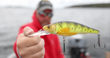SJR | Week 571: The Origins of LIVETARGET Lures