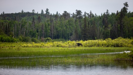 SJR | Week 585: Tales From The Gunflint Trail