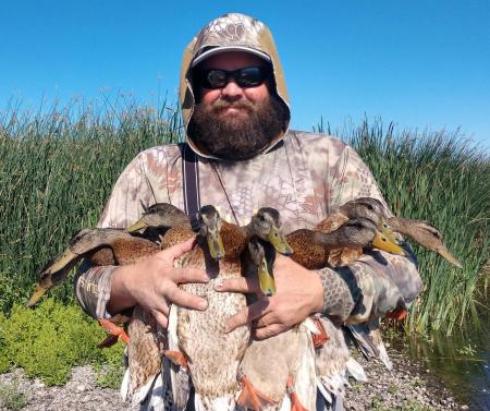 NAWP: Duck Banding In California