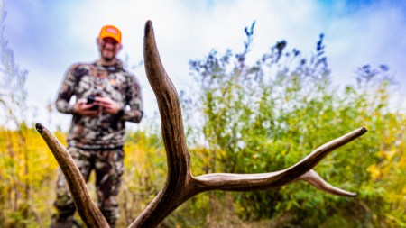 SJR | Week 596: First-Time Elk Hunting Adventures