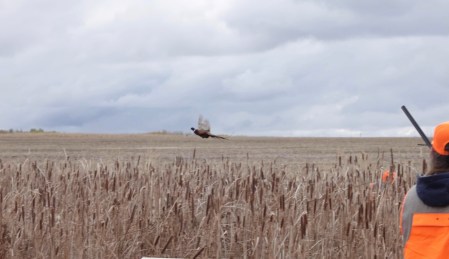 Here’s how to watch the new season of Prairie Sportsman:
