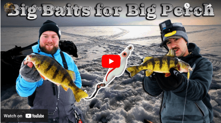 Two New FHF Videos to Start The Week: “St Croix Fishing” and “Big Baits for Big Fish”