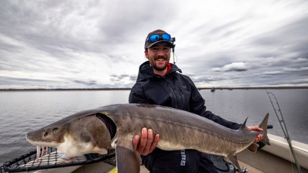 SJR | Week 605: State of the Sturgeon