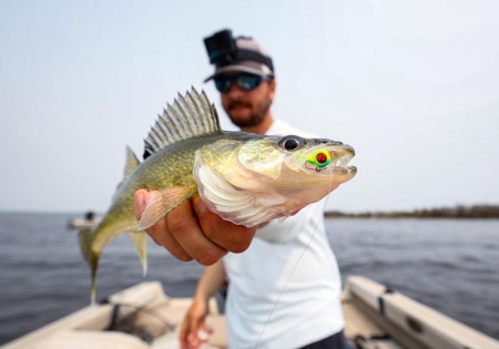 SJR | Week 604: Red Lake Land Transfer