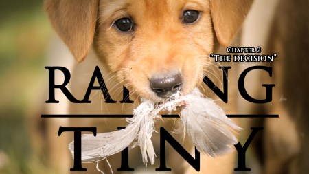 Picking out a new hunting dog