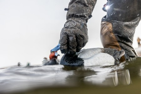 SJR | Week 633: Sitka Comes to Minnesota