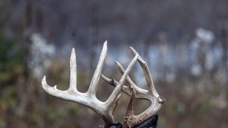 SJR | Week 635: New Tools to Help Your Deer Hunting