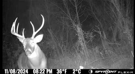 5 onX tips to help you have a better deer season.