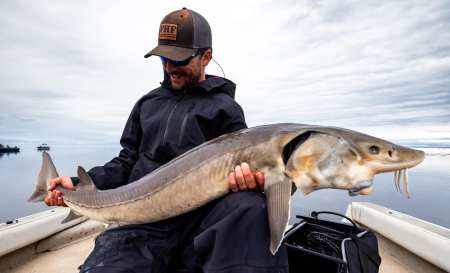 Catching Big Fish For Conservation