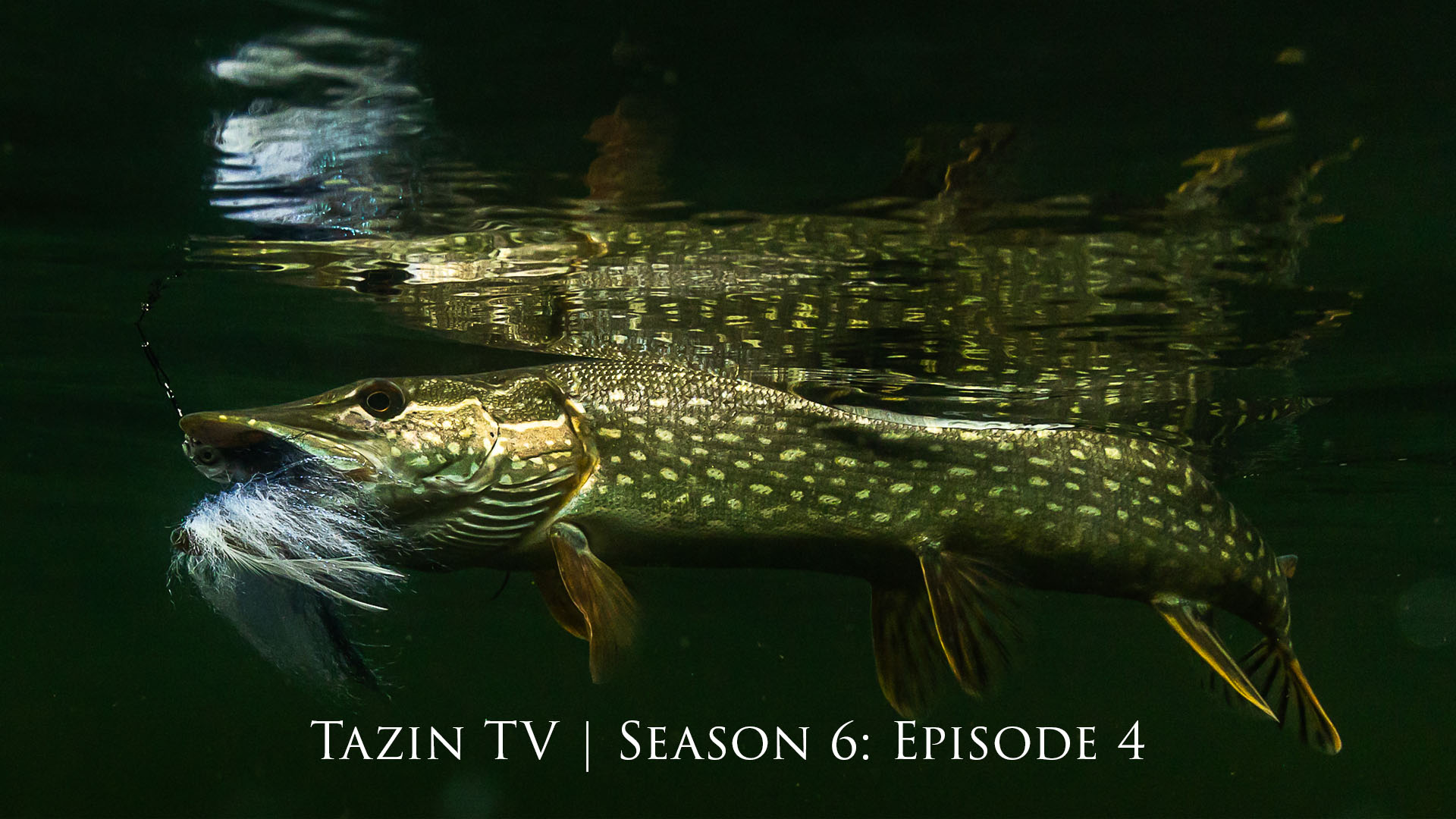 Casting For Big Pike at Saskatchewan’s Tazin Lake
