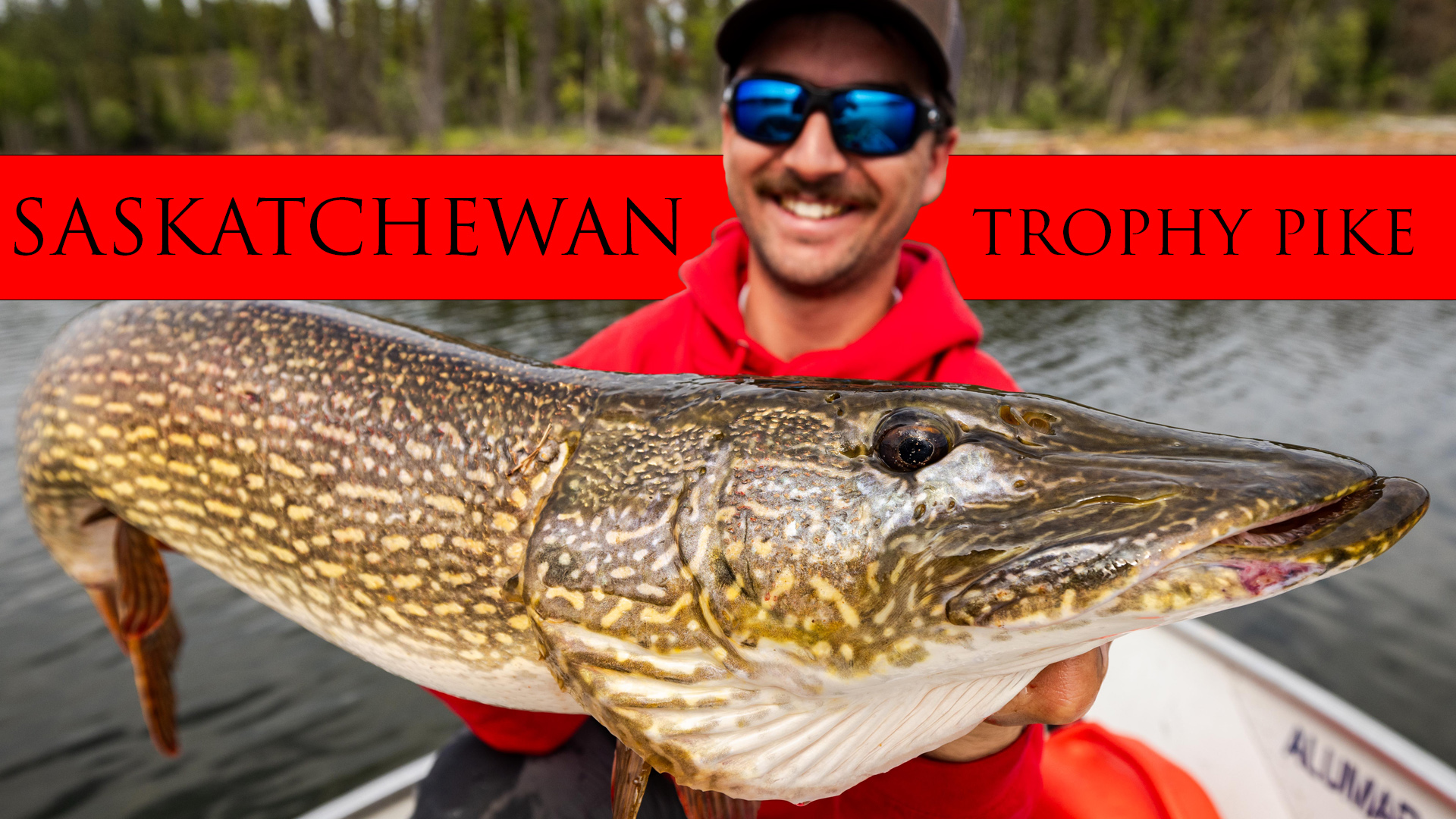 Untitled post 197934