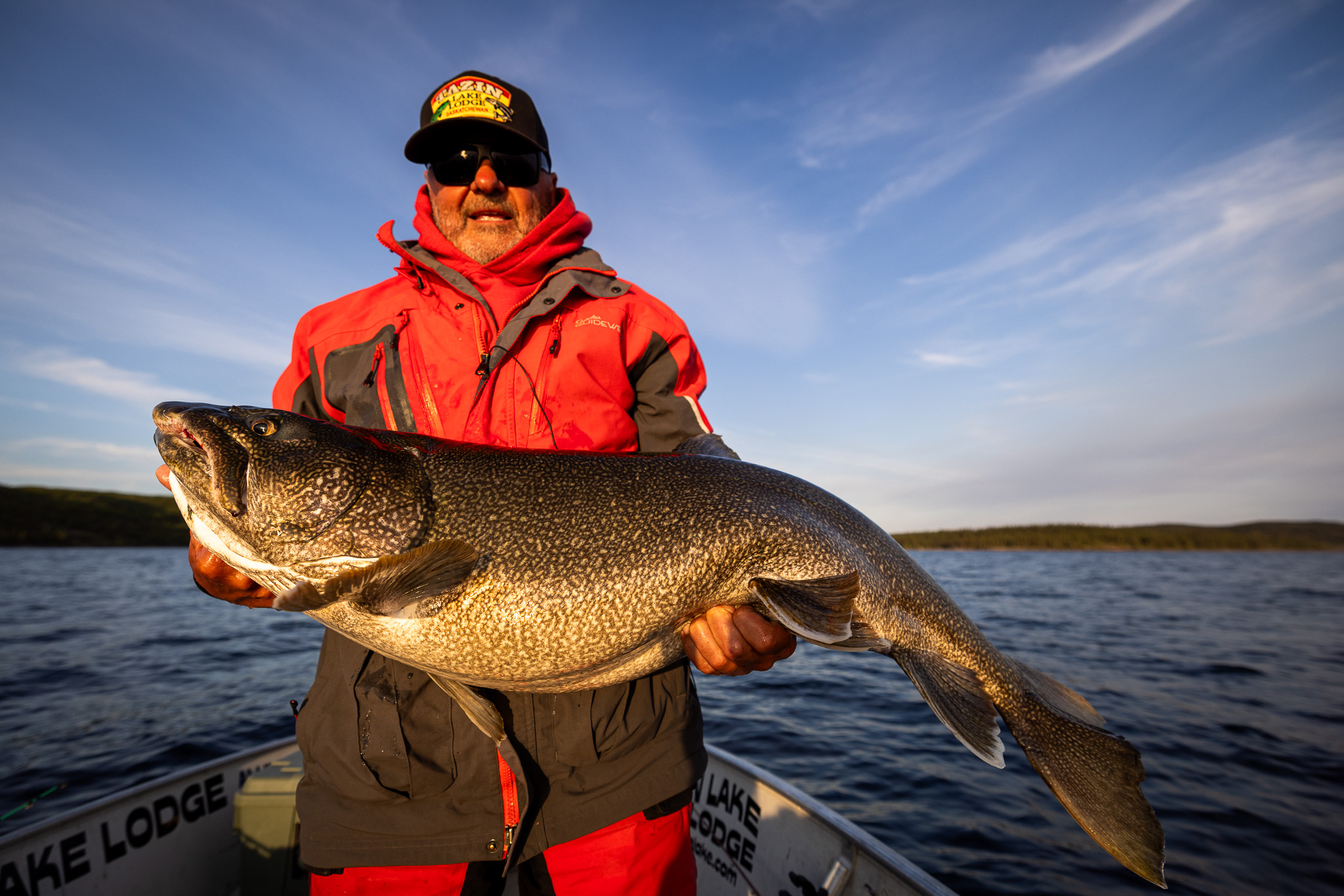 Tazin TV 2025: The New Season Is Here!