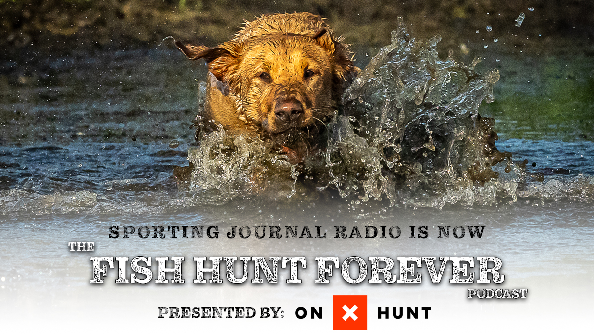 New Podcast Name. Same Great Show…or maybe even better!?