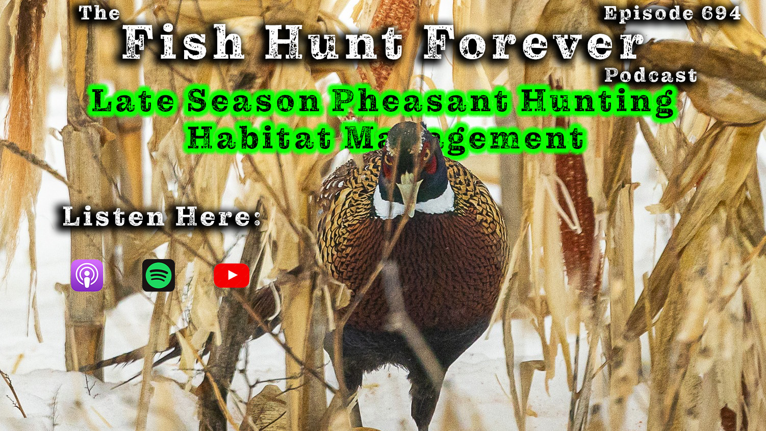 Week 694: Late Season Pheasant Hunting Habitat Management