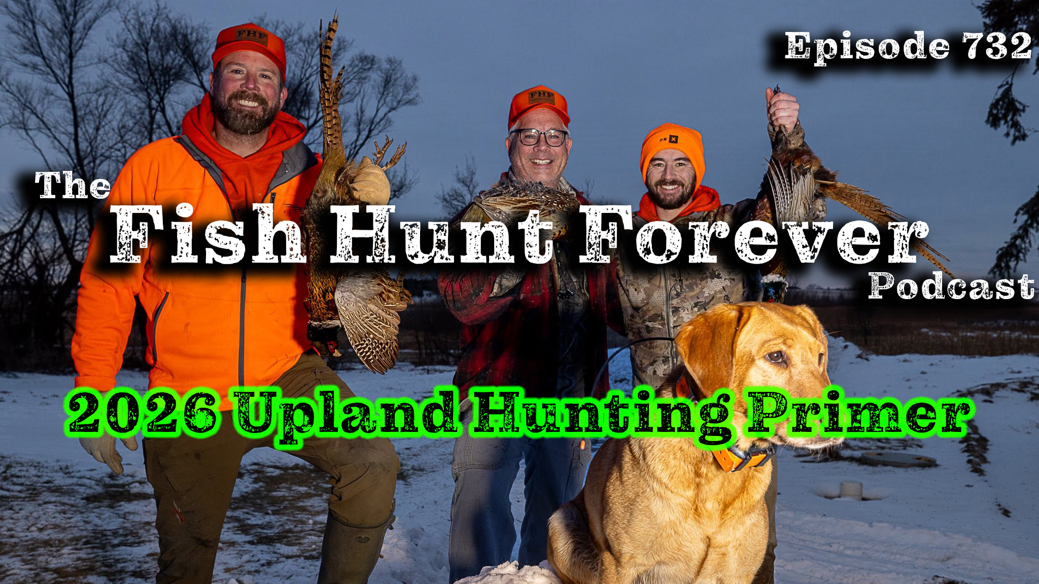 Week 732: Getting Ready for the 2026 Upland Bird Hunting Season